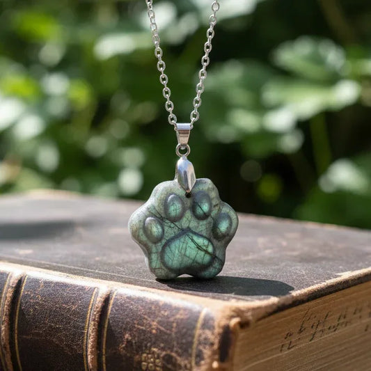 Pendentif patte en Labradorite (PE2022 - 5) (Copie)