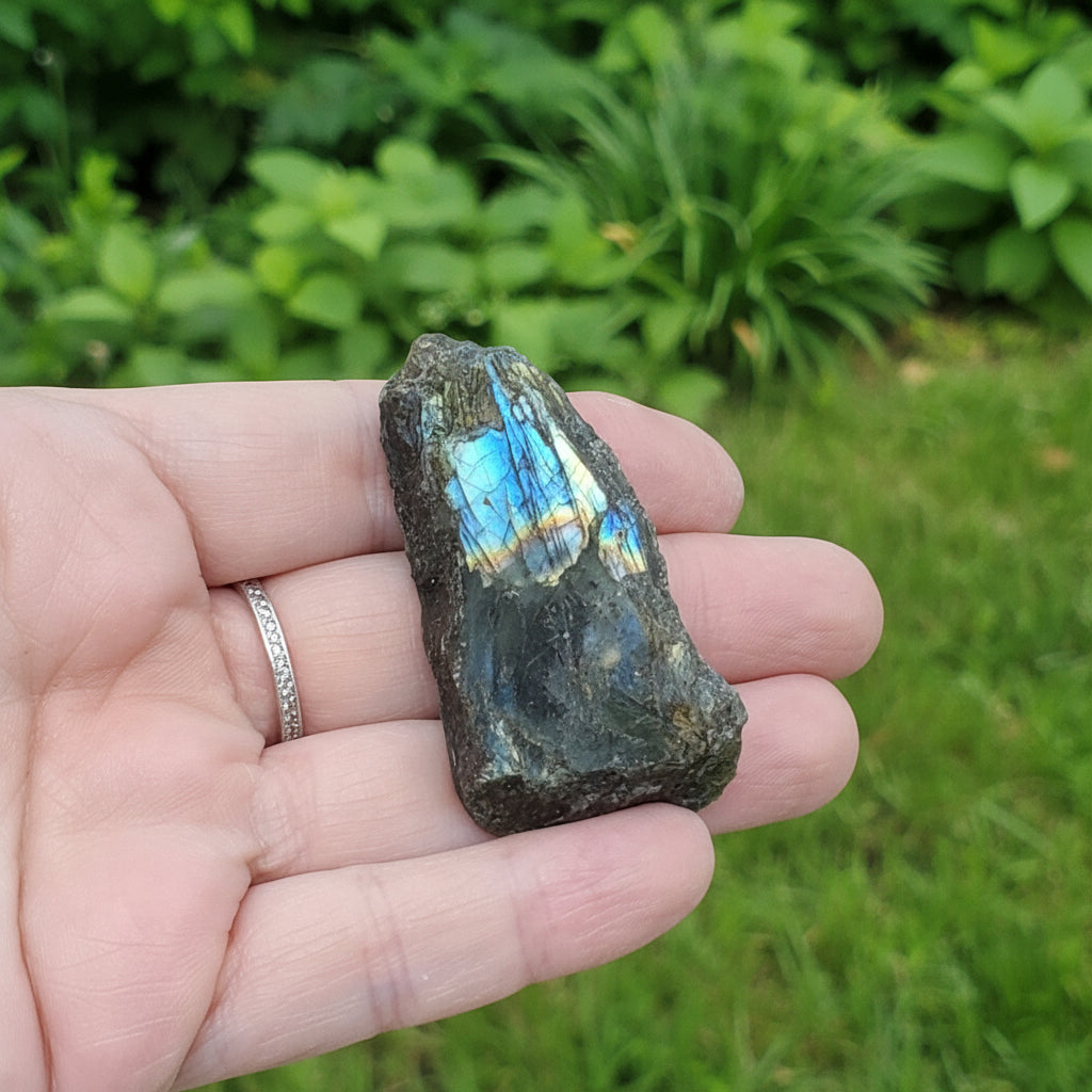 Labradorite 1 face polie 26g (PRGFL575 - 19)