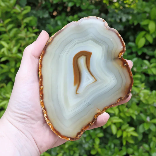 Agate avec une face polie 721g (MB351-2)