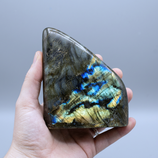 Forme libre polie en Labradorite 653g (PRGFL256 - 2)