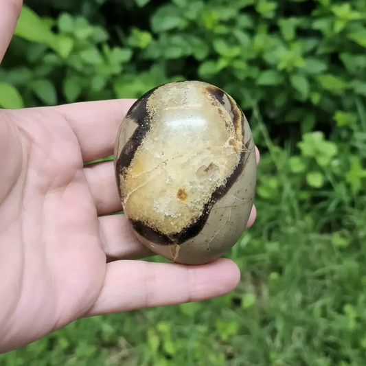 Galet en Septaria et Calcite jaune 155g (PRGFL717)