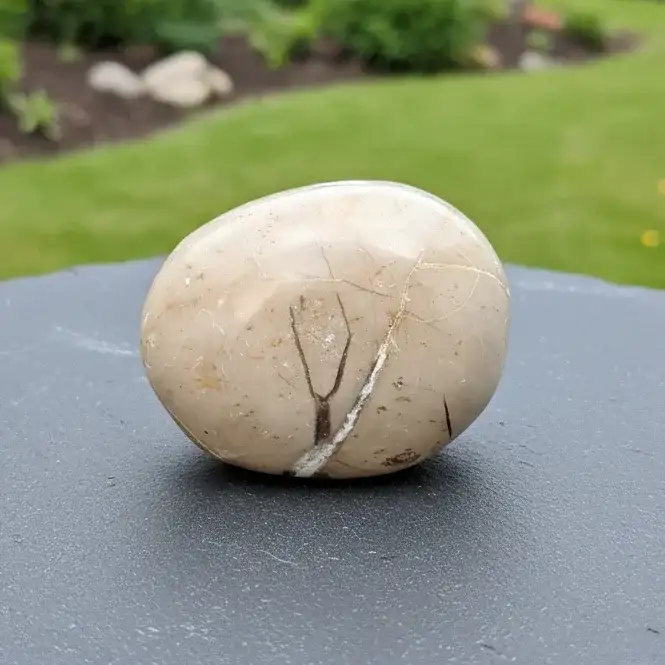 Galet en Septaria et Calcite jaune 155g (PRGFL717)