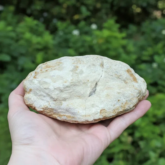 Géode complète de Cristal de Roche 628g (MB306-18)