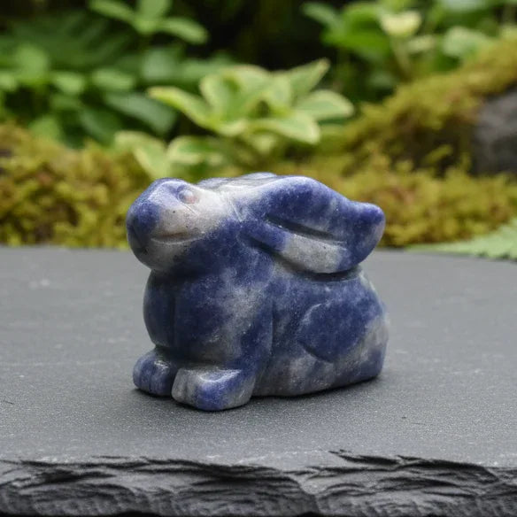 Lapin en Sodalite 22g (PRGFL365-7)