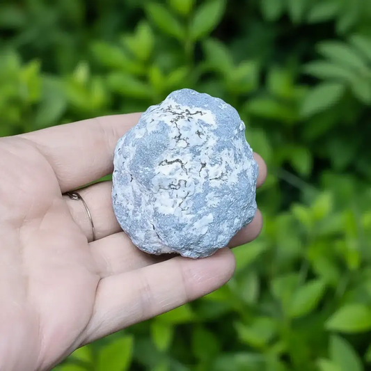 Nodule d'Angélite brute 111g (MB521 - 2)
