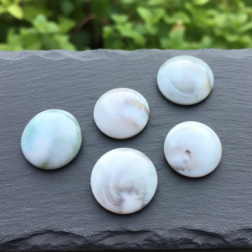 Œil de Sainte-Lucie rond (PRGFL532)