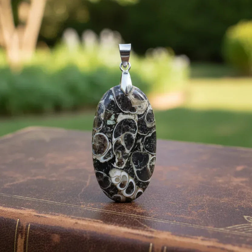 Pendentif en Agate à Turritelles (PE449)