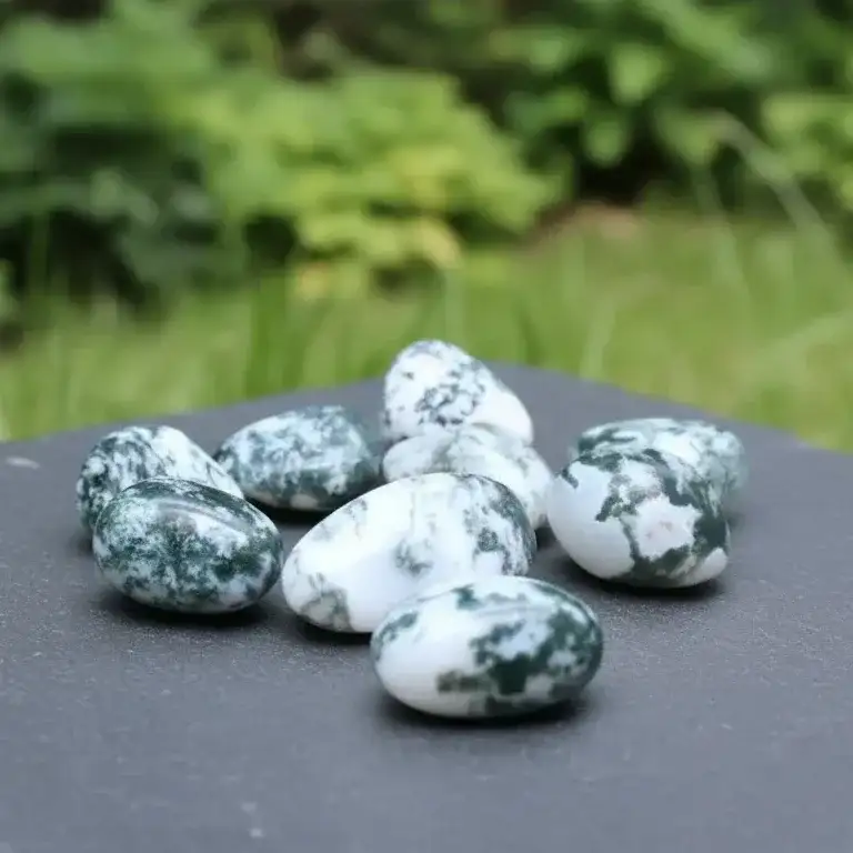 Agate Arbre - Pierre roulée (PRGFL433)