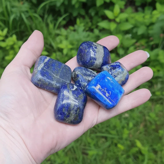Pierres polies en Lapis-Lazuli (PRGFL695)