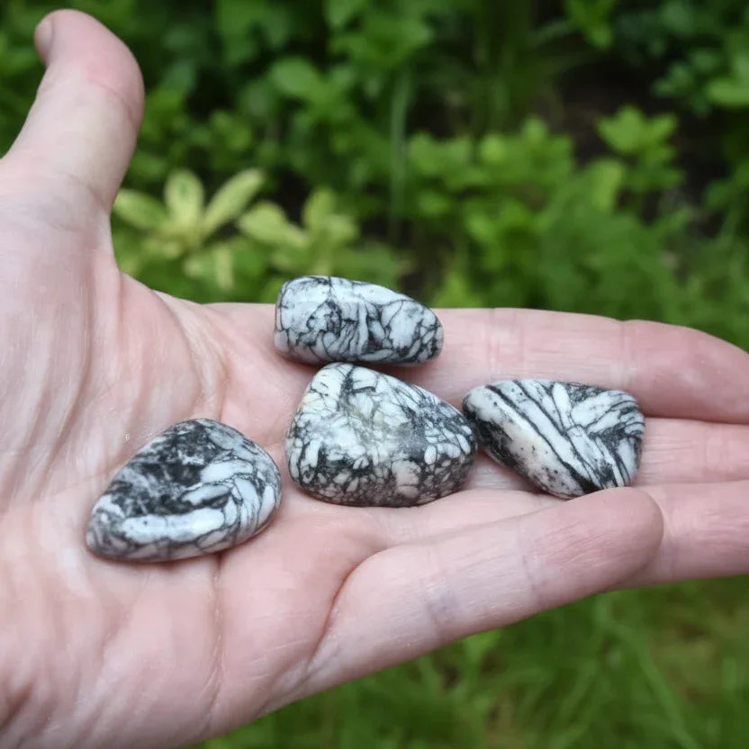 Pinolite - Pierre roulée (PRGFL427)