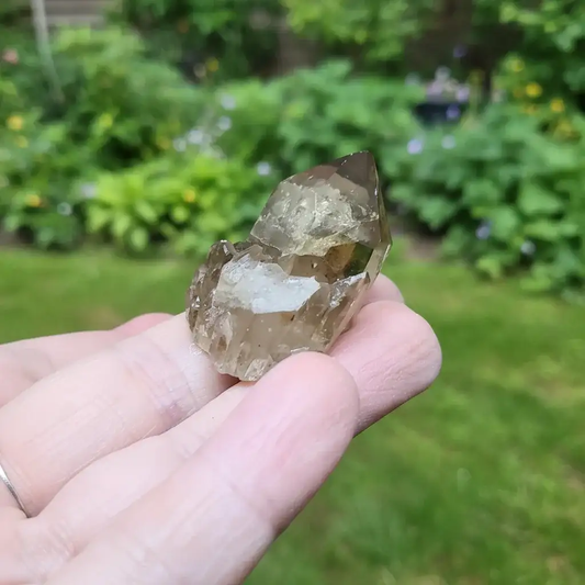 Pointe de Citrine brute (MB522 - 15)