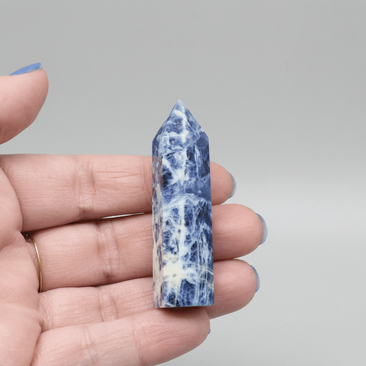 Pointe en Sodalite 19g (PRGFL507-1)