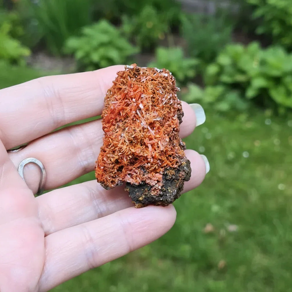 Crocoïte brute 47g (MB577-1)