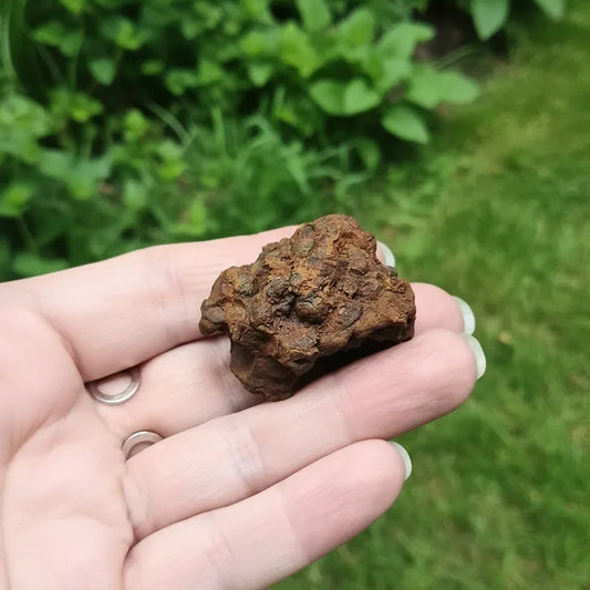 Limonite, Goethite et Pisolithes brutes 21g (MB575-1)