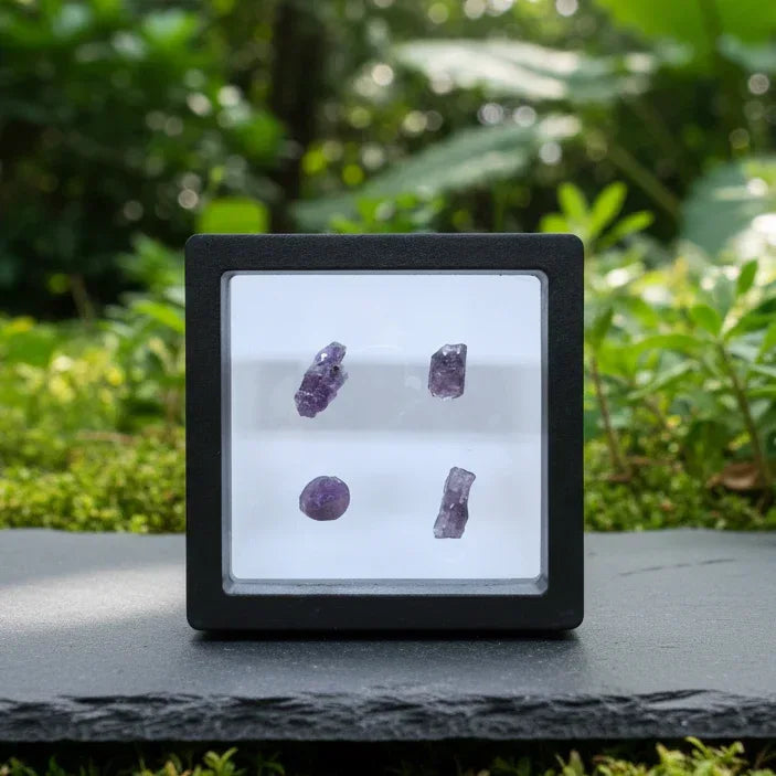 Lot de 4 Scapolite violettes brutes (MB567)