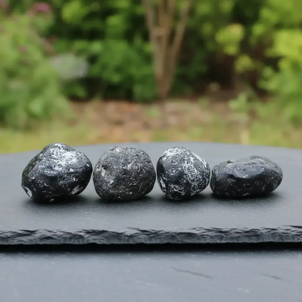 Obsidienne Larme d'Apache brute (MB574)
