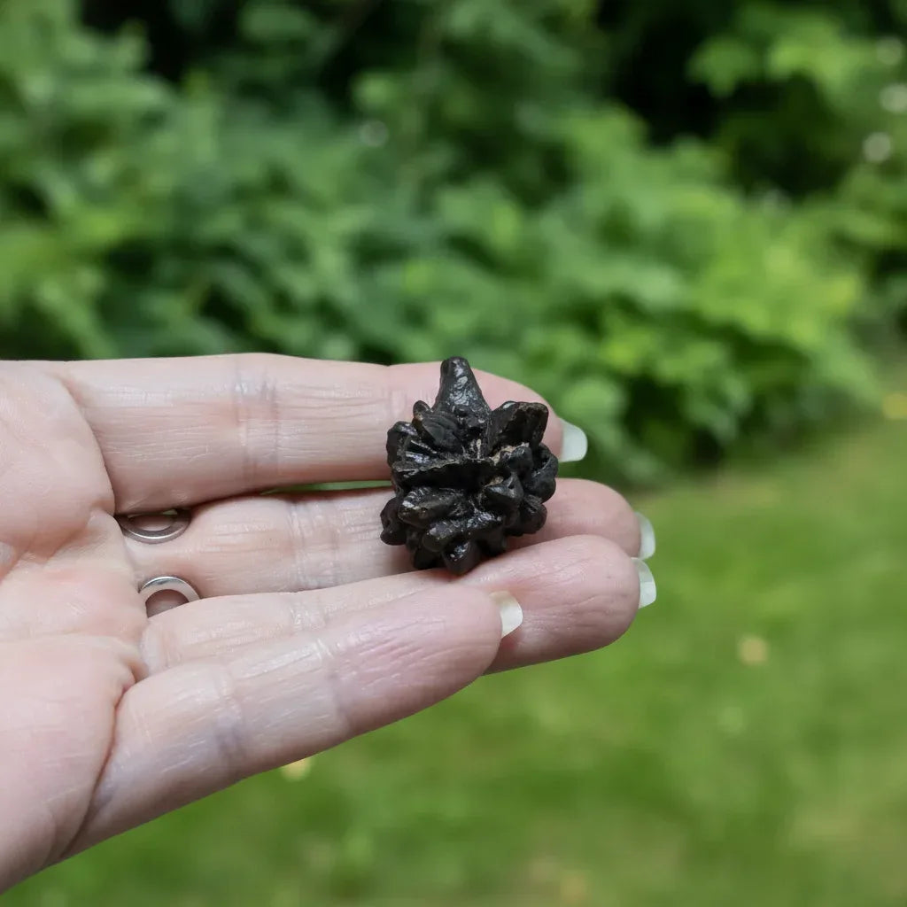 Pierre de Prophétie brute - Goethite / Marcasite 16g (MB554-4)