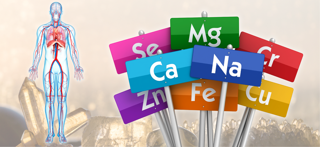 Les minéraux communs au corps humain et aux cristaux - ENAE Minéraux