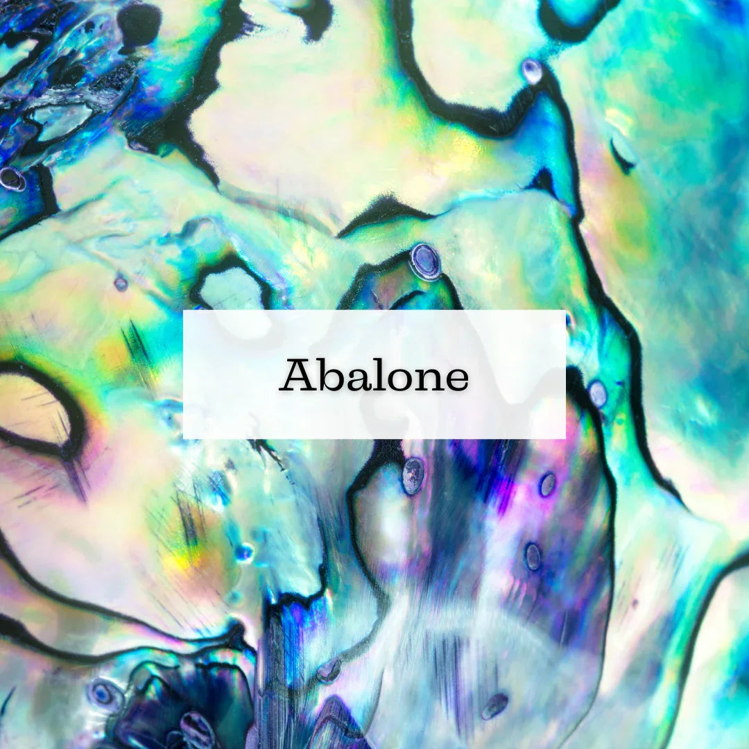 Collection Abalone (Ormeau) - ENAE Minéraux