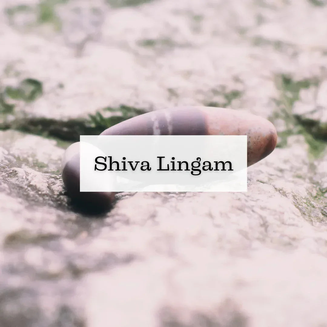 Collection Shiva Lingam - ENAE Minéraux