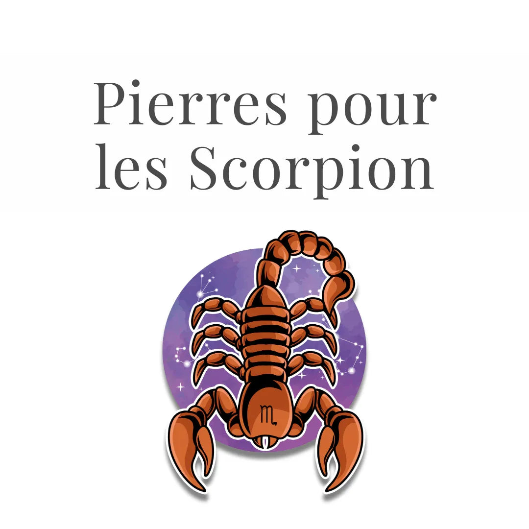 Scorpion - ENAE Minéraux