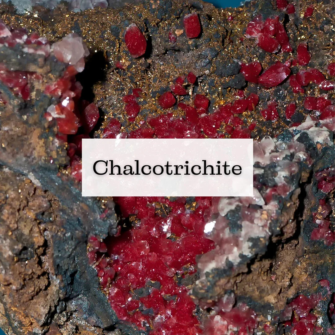 Collection Chalcotrichite (Cuprite) - ENAE Minéraux