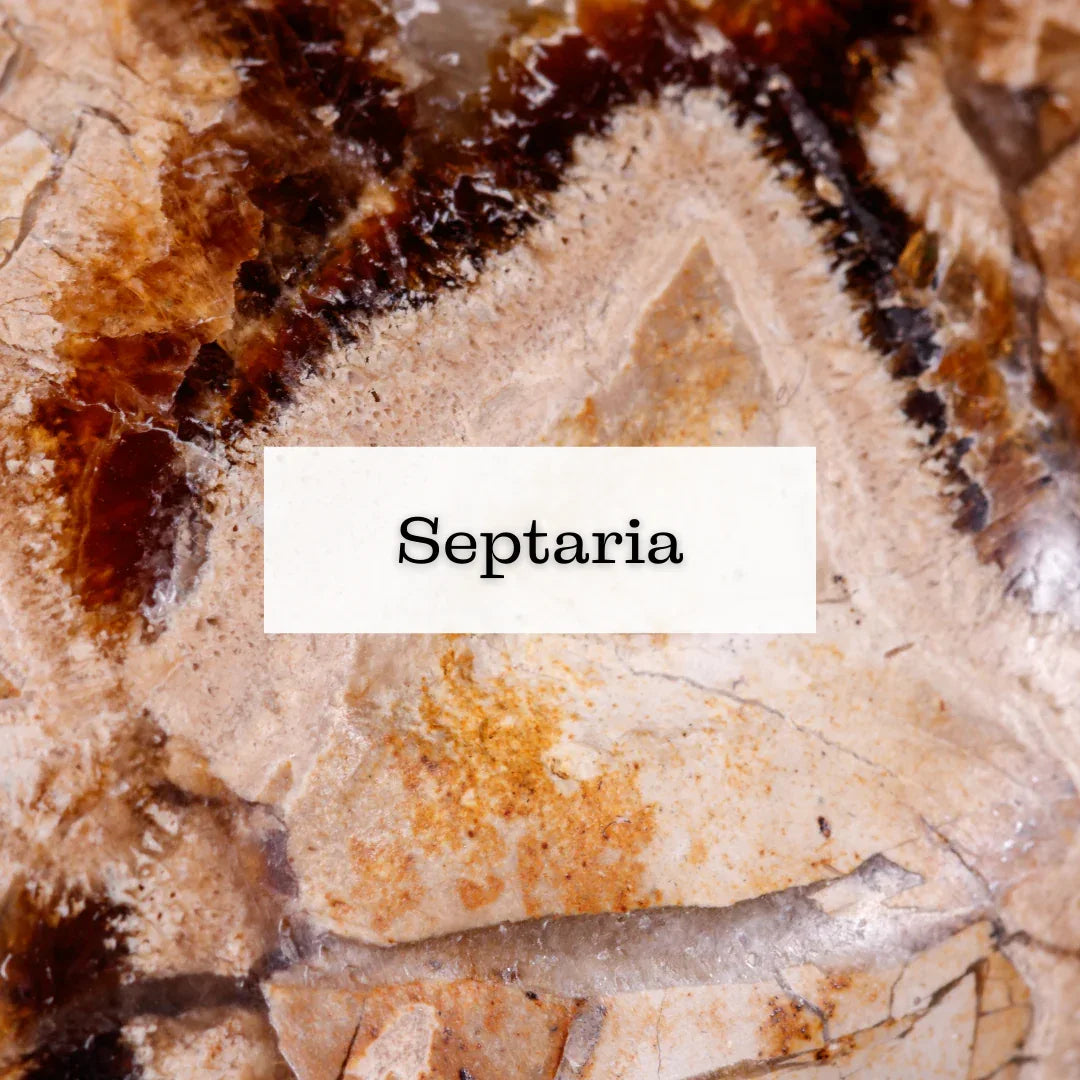 Collection Septaria - ENAE Minéraux