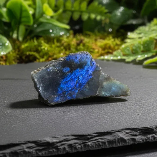 Labradorite 1 face polie (PE575-16) - ENAE Minéraux