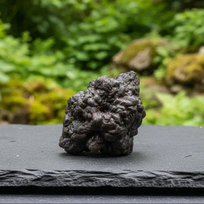 Pierre de Prophétie brute - Goethite / Marcasite 50g (MB554-8)