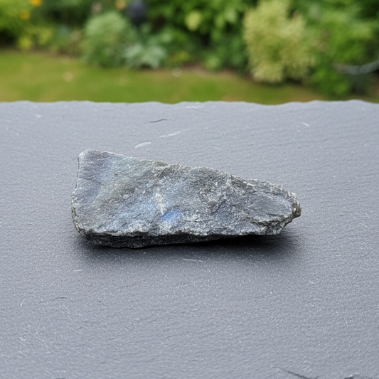Labradorite 1 face polie 26g (PRGFL575 - 19)