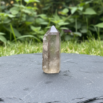 Pointe polie en Citrine 22g (PRGFL760)