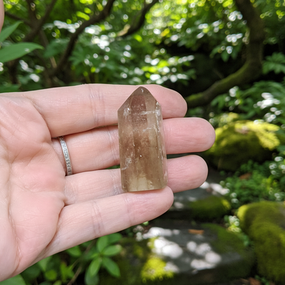 Pointe polie en Citrine 22g (PRGFL760)
