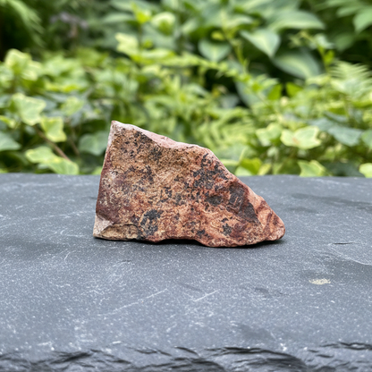 Tranche de Jaspe Bicolore dos brut 21g (PRGFL702 - 5)