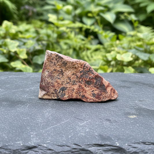 Tranche de Jaspe Bicolore dos brut 21g (PRGFL702 - 5)