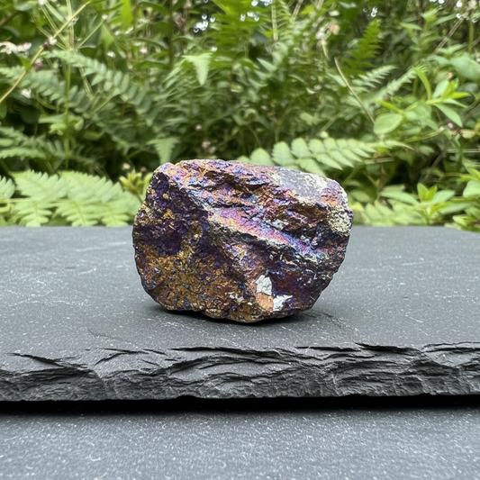 Bornite brute 71g (MB590 - 6)