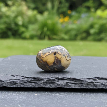 Schalenblende polie 26g (PRGFL761 - 2)