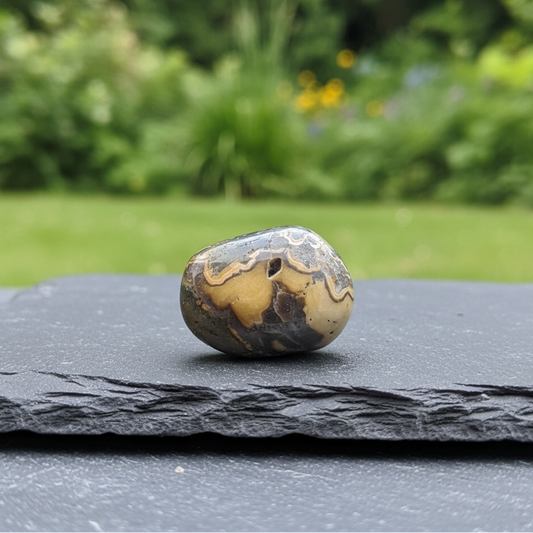 Schalenblende polie 26g (PRGFL761 - 2)