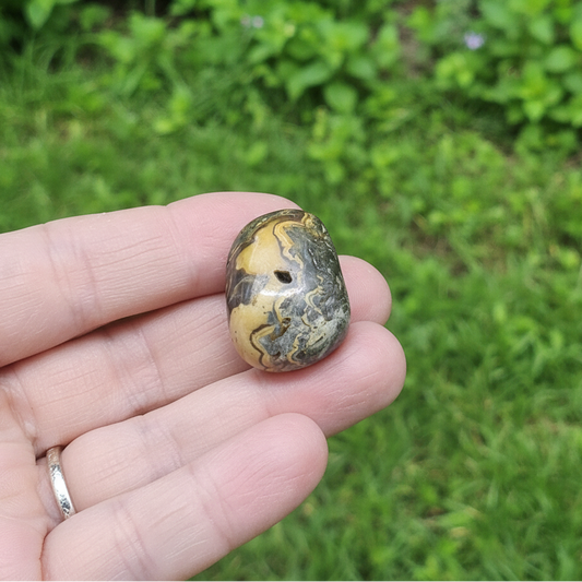 Schalenblende polie 26g (PRGFL761 - 2)