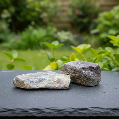 Lot de 2 os de dinosaure fossilisé brut (MB530-2)