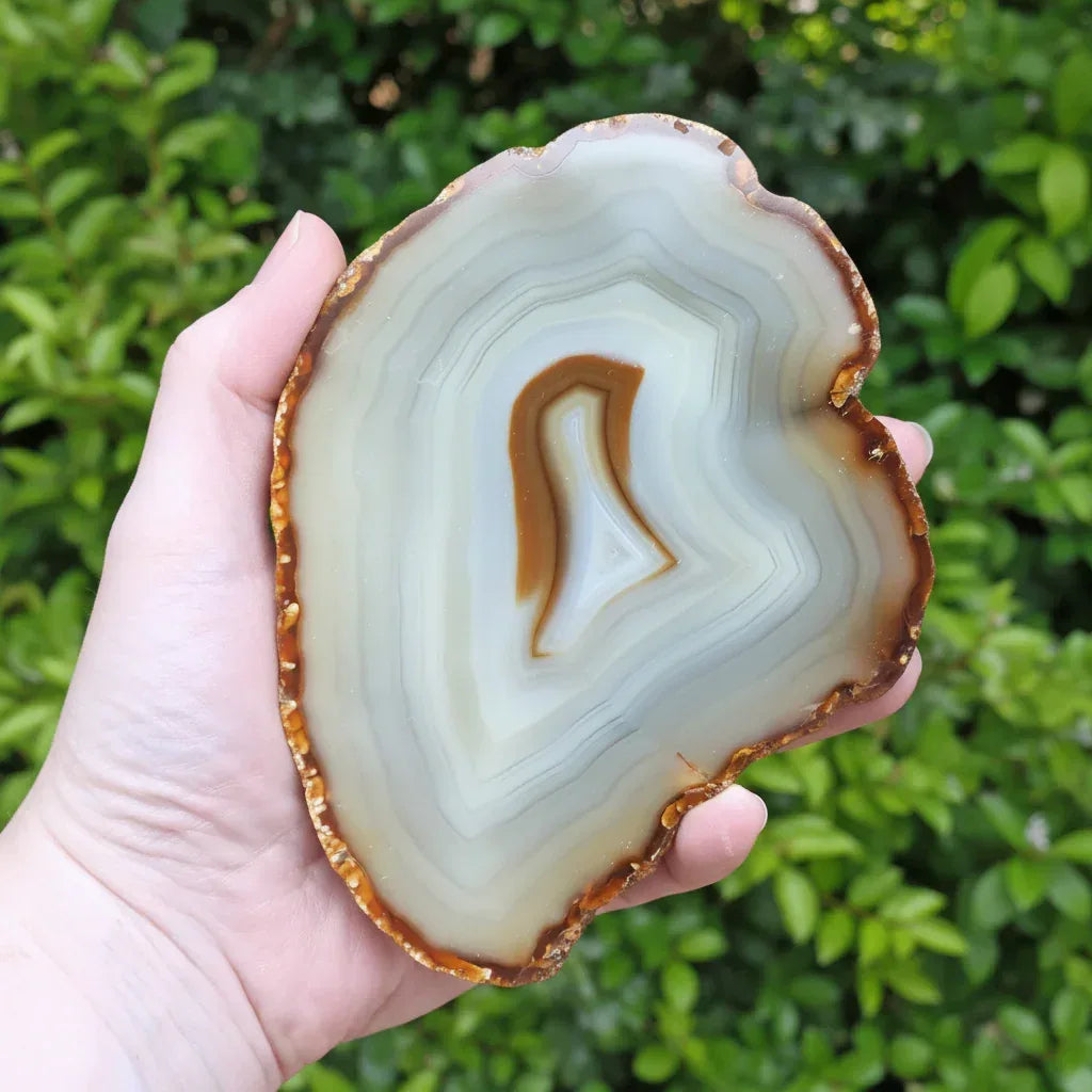 Agate avec une face polie 721g (MB351-2)