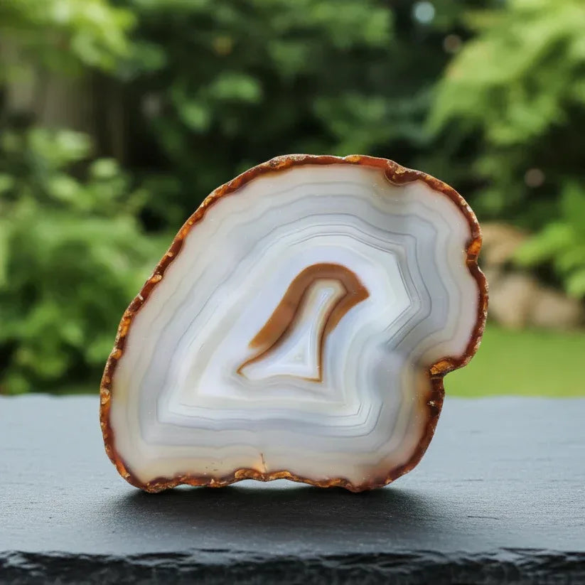 Agate avec une face polie 721g (MB351-2)