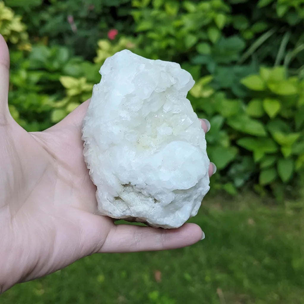 Amas de pointes de Cristal de Roche 403g (MB433-11)