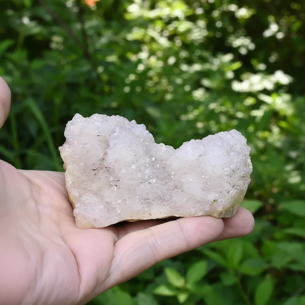 Améthyste Cactus brute 172g (MB550)