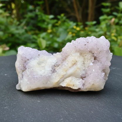 Améthyste Cactus brute 172g (MB550)