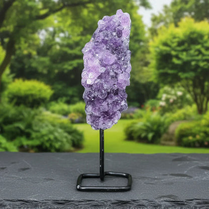 Améthyste brute sur pied 146g (MB504-1)