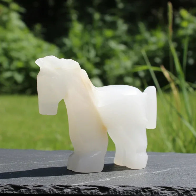 Cheval ou âne en Aragonite et Calcite 87g (PRGFL348-2)