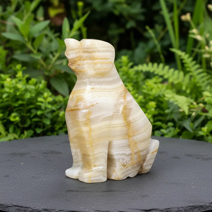 Chien sculpté en Aragonite et Calcite 54g (PRGFL347-4)