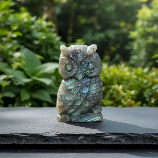 Chouette en Labradorite 31g (PRGFL500-19)