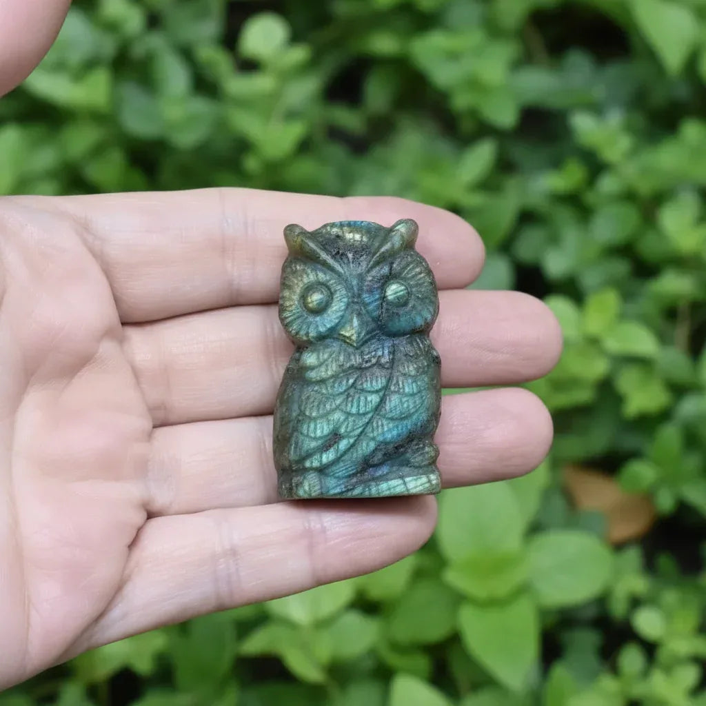 Chouette en Labradorite 31g (PRGFL500-19)