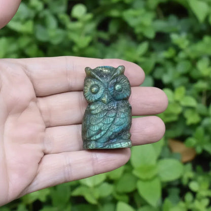 Chouette en Labradorite 31g (PRGFL500-19)